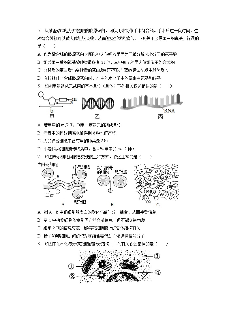 2022-2023学年辽宁省沈阳市和平区东北育才学校高一（上）期末生物试卷（含答案解析）02