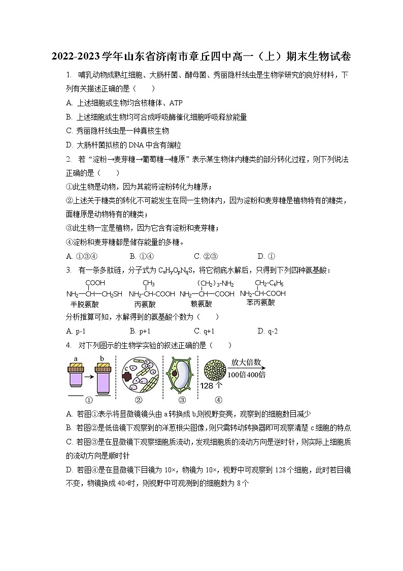 2022-2023学年山东省济南市章丘四中高一（上）期末生物试卷（含答案解析）01