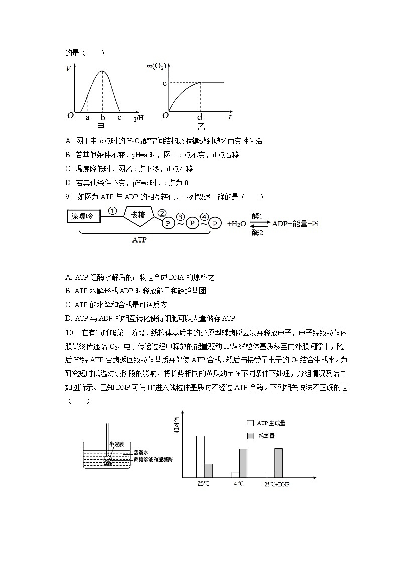 2022-2023学年山东省济南市章丘四中高一（上）期末生物试卷（含答案解析）03