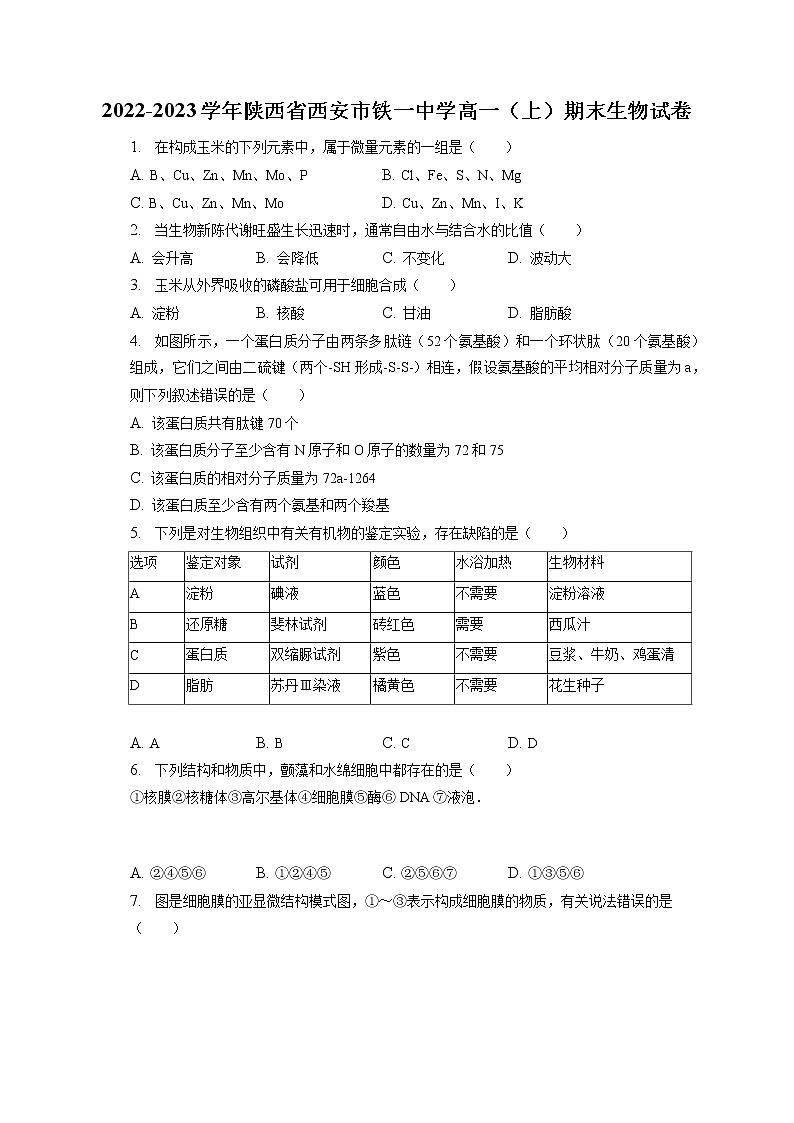 2022-2023学年陕西省西安市铁一中学高一（上）期末生物试卷（含答案解析）第1页