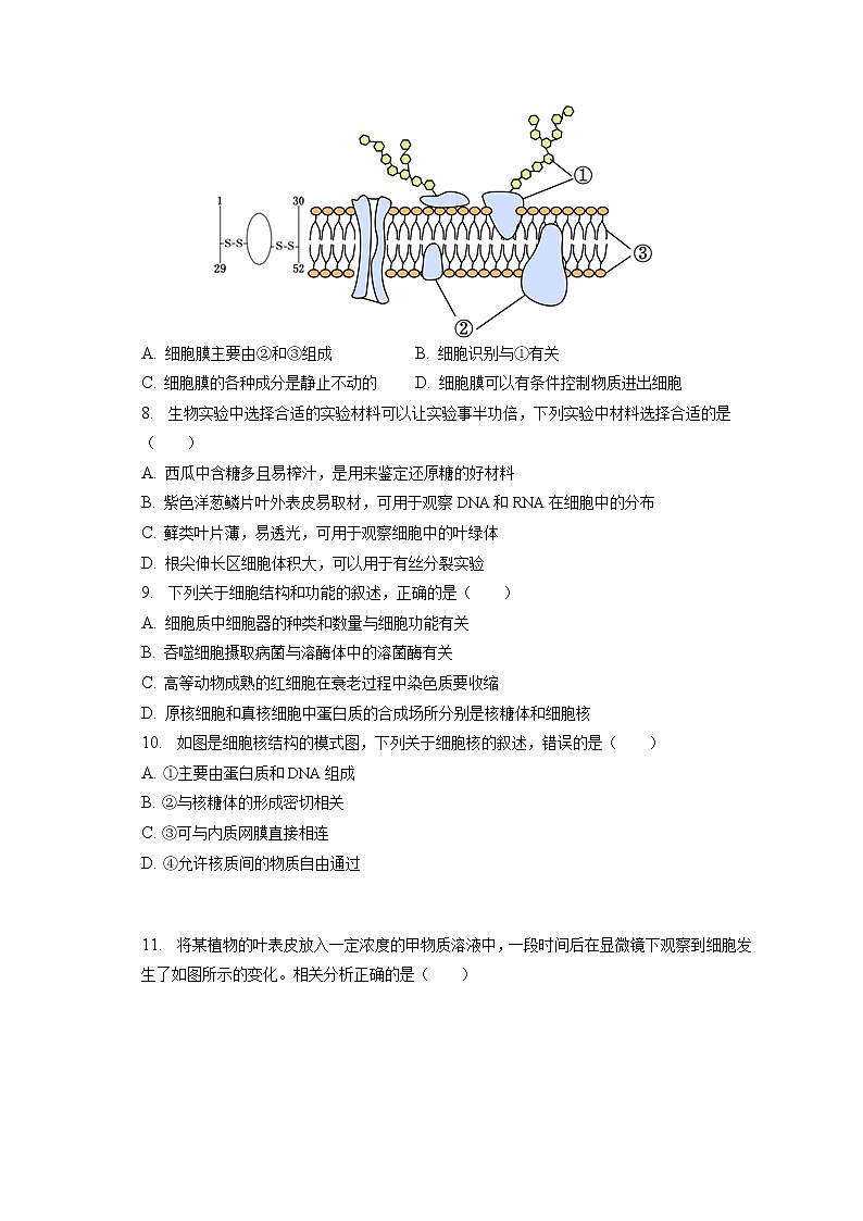 2022-2023学年陕西省西安市铁一中学高一（上）期末生物试卷（含答案解析）第2页