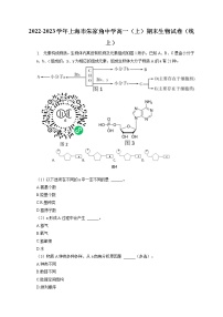 2022-2023学年上海市朱家角中学高一（上）期末生物试卷（线上）（含答案解析）