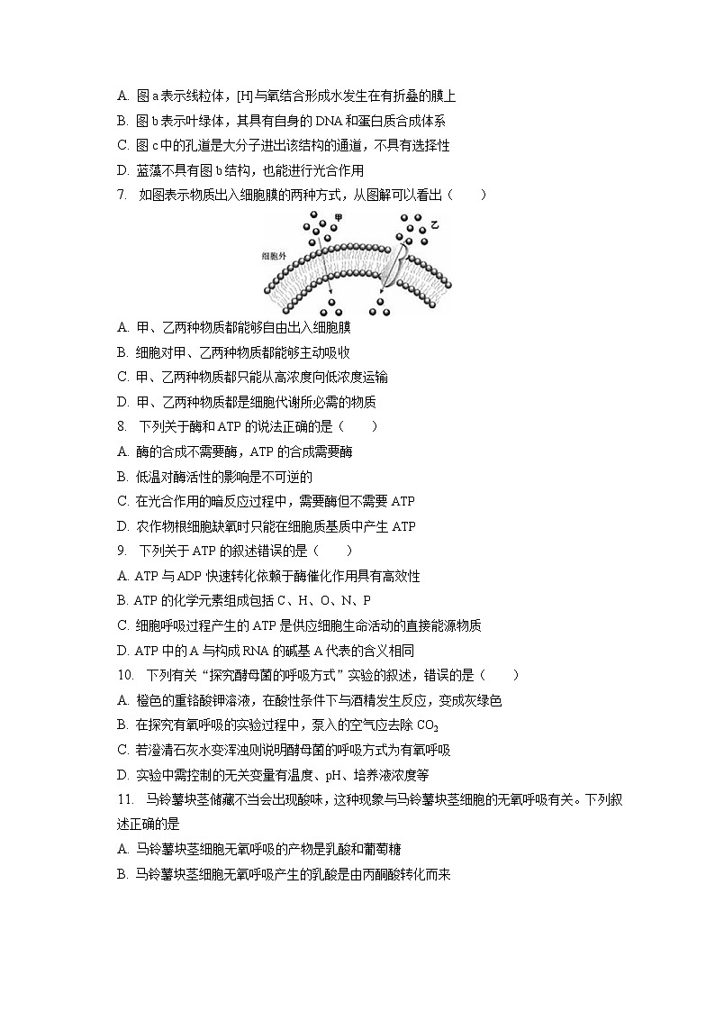 2022-2023学年天津市和平区高一（上）期末生物试卷（含答案解析）第2页