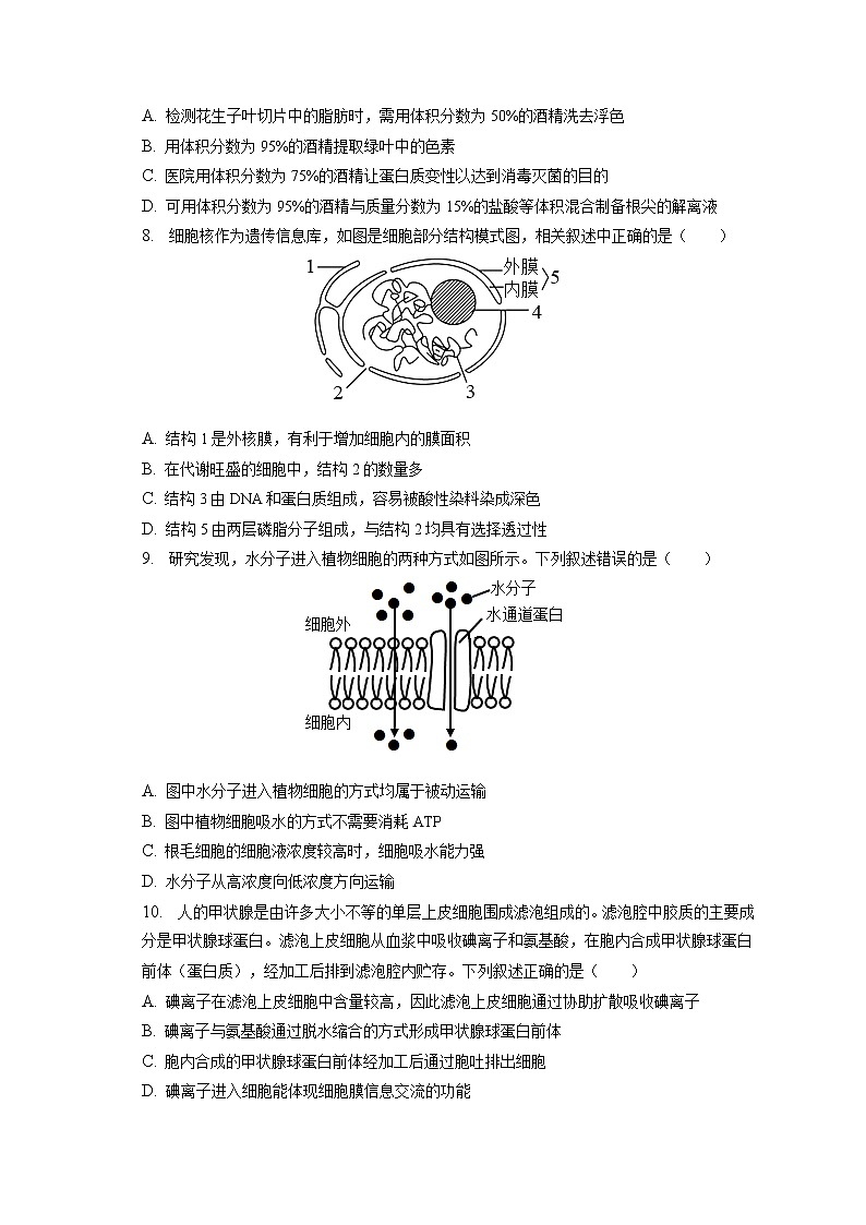 2022-2023学年四川省泸州市泸县一中高一（上）期末生物试卷（含答案解析）第2页
