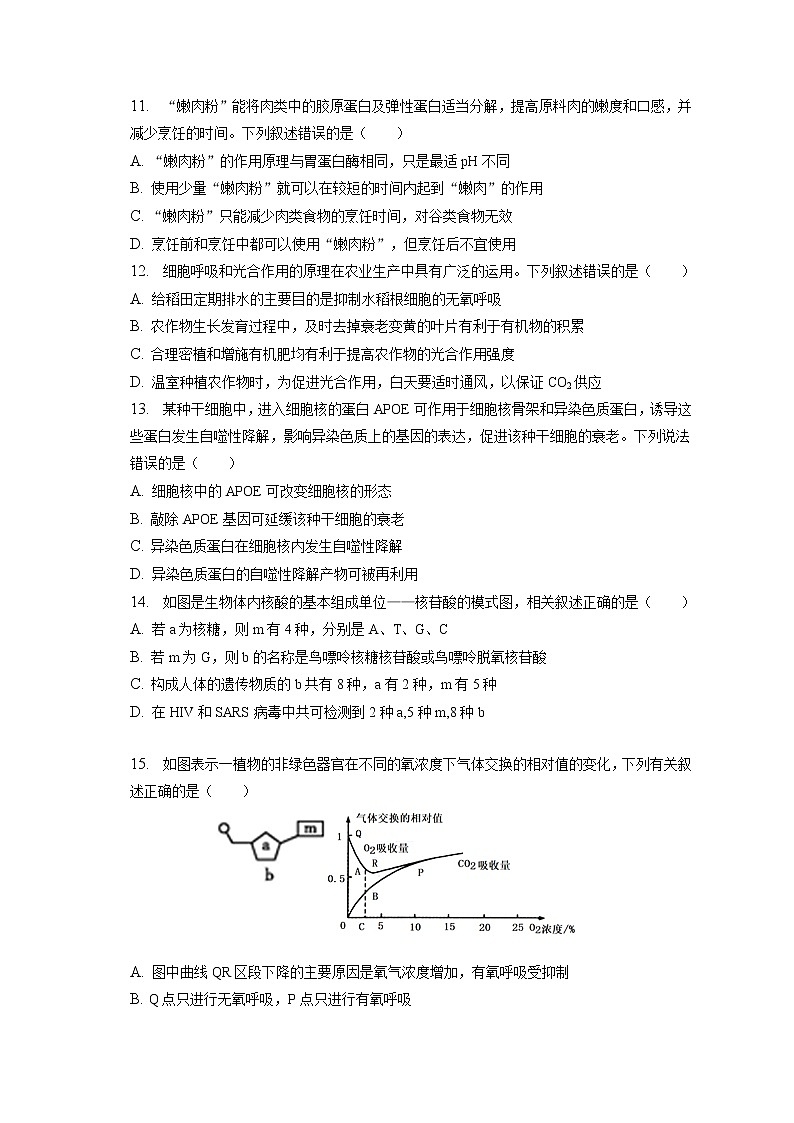 2022-2023学年四川省泸州市泸县一中高一（上）期末生物试卷（含答案解析）第3页