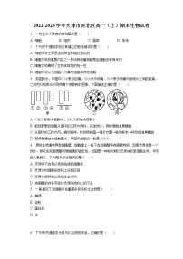 2022-2023学年天津市河北区高一（上）期末生物试卷（含答案解析）