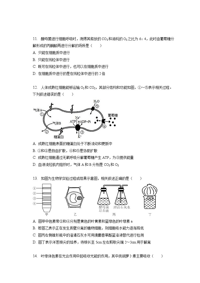 2022-2023学年天津市红桥区高一（上）期末生物试卷（含答案解析）第3页