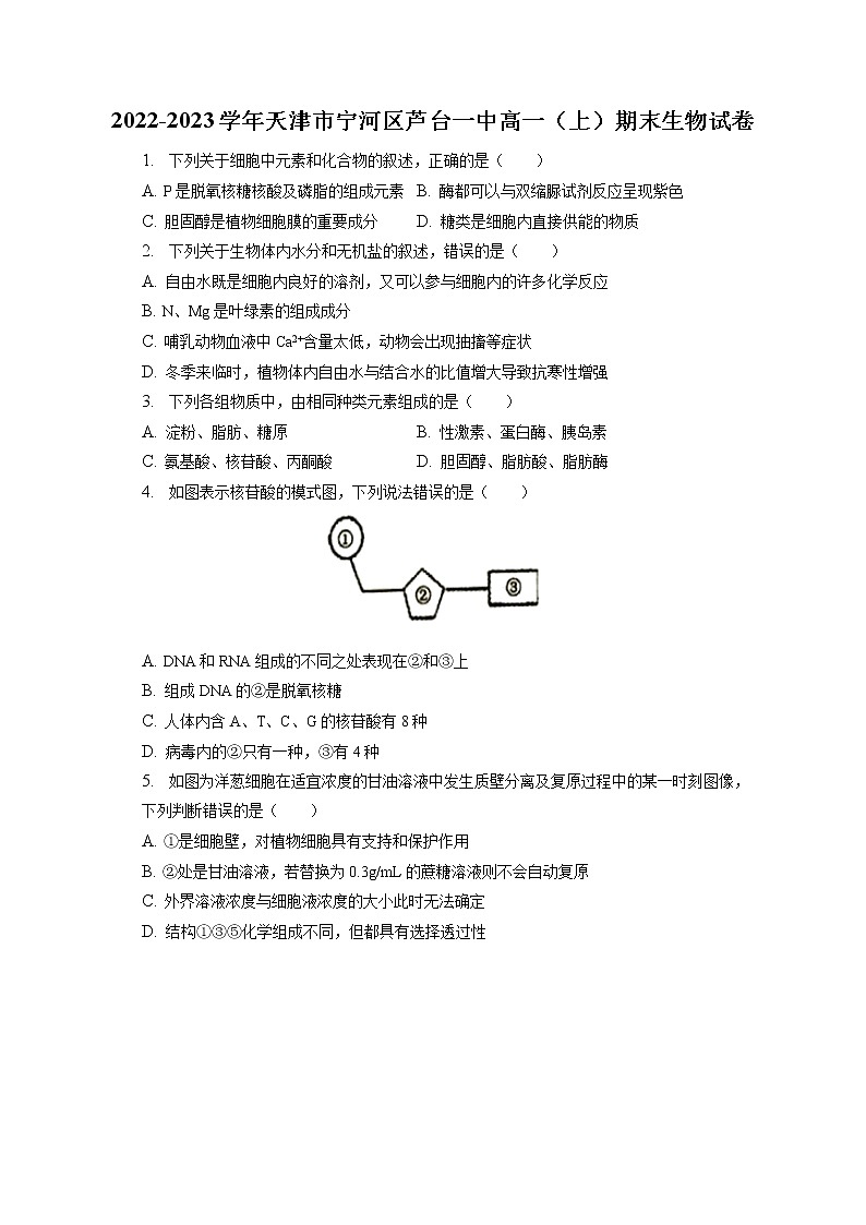 2022-2023学年天津市宁河区芦台一中高一（上）期末生物试卷（含答案解析）01