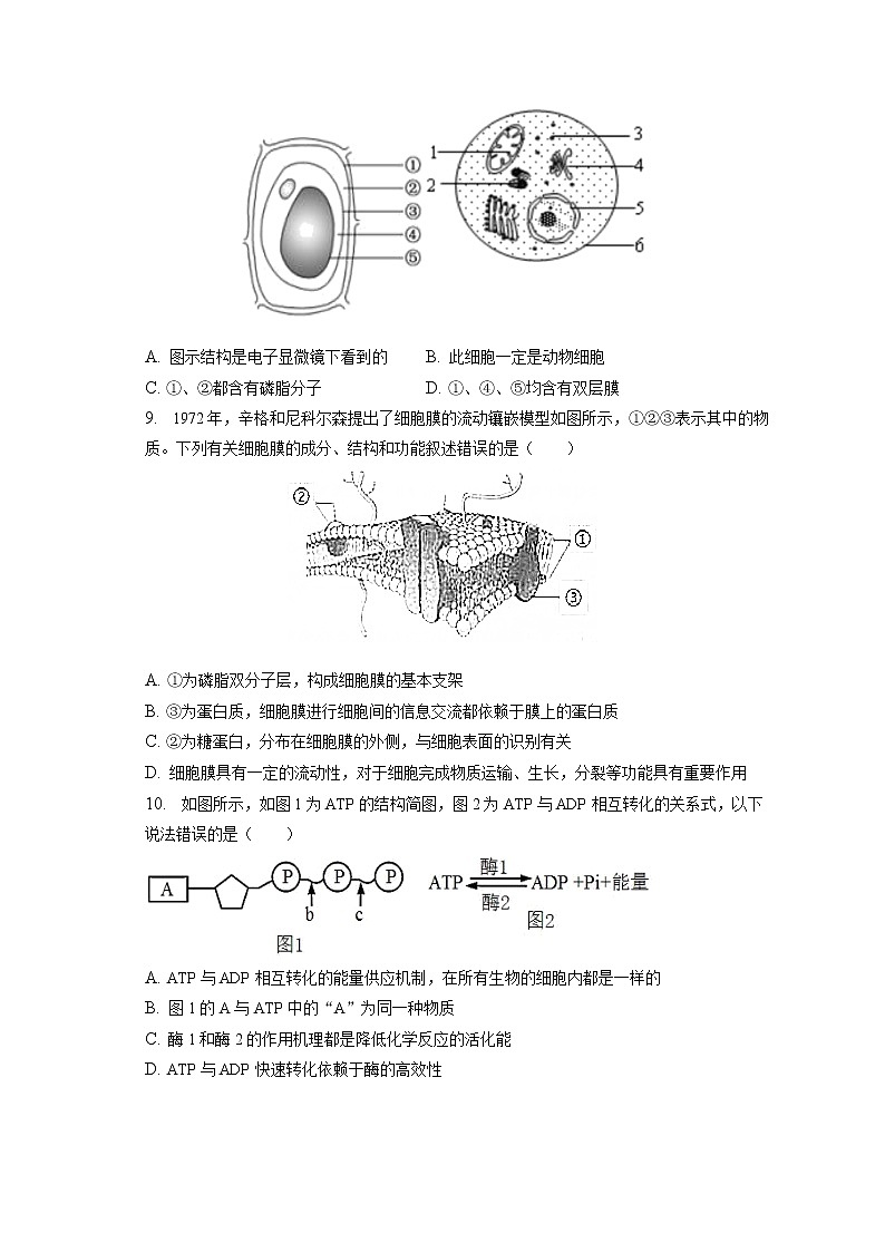 2022-2023学年天津市宁河区芦台一中高一（上）期末生物试卷（含答案解析）03