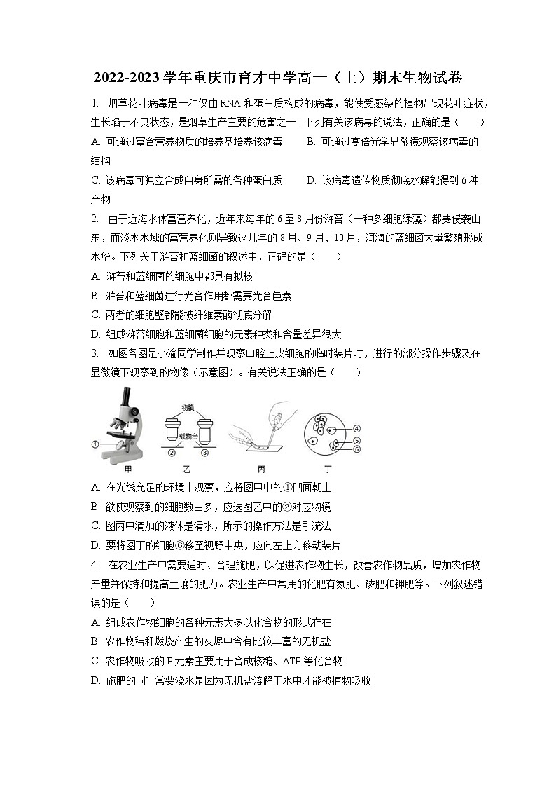 2022-2023学年重庆市育才中学高一（上）期末生物试卷（含答案解析）01