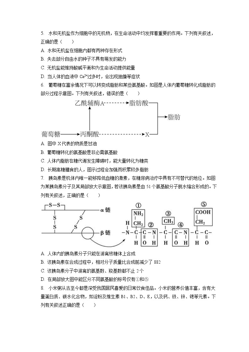 2022-2023学年重庆市育才中学高一（上）期末生物试卷（含答案解析）02