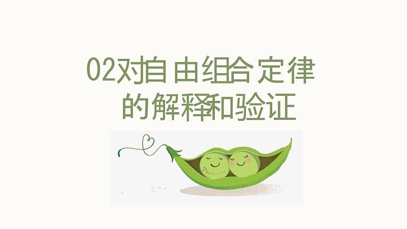 1.2孟德尔的豌豆杂交实验（二）课件PPT06