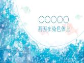 2.2基因在染色体上课件PPT