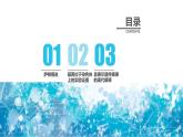 2.2基因在染色体上课件PPT