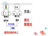 2.2基因在染色体上课件PPT
