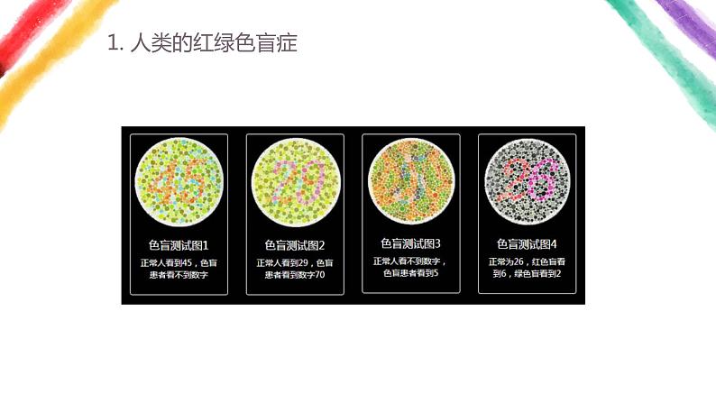 2.3伴性遗传课件PPT第4页