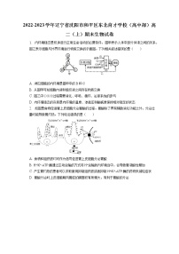 2022-2023学年辽宁省沈阳市和平区东北育才学校（高中部）高二（上）期末生物试卷（含答案解析）