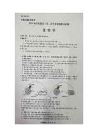 2023齐鲁名校（潍坊一中、师大附中等）高三下学期开学联考试题生物图片版无答案