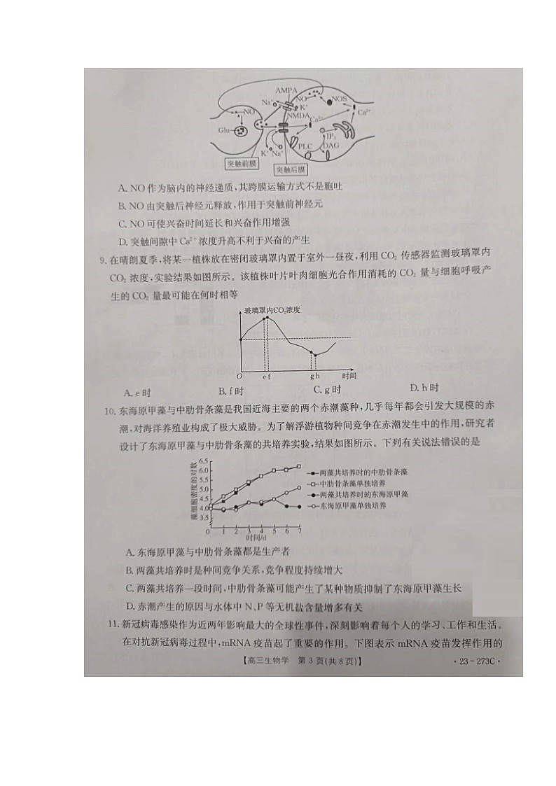 2023湖南省部分学校高三下学期第一次联考生物试题含答案03