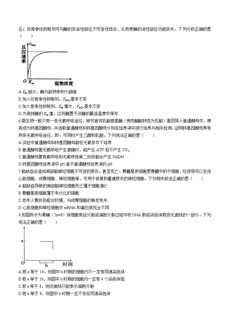 2023重庆市巴蜀中学高二上学期期末考试生物试题含答案第2页
