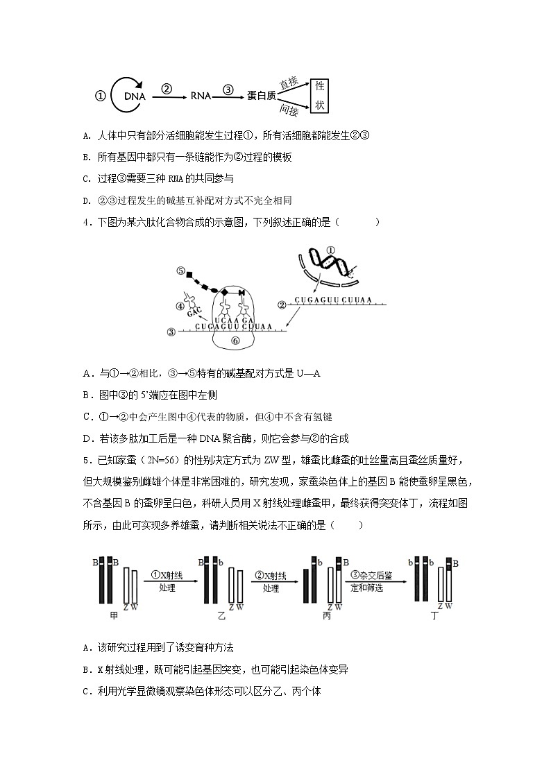 2023重庆市十一中高二上学期期末考试生物试题含答案02