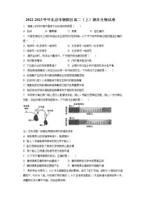 2022-2023学年北京市朝阳区高二（上）期末生物试卷(含答案解析)