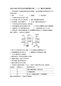 2022-2023学年北京市清华附中高二（上）期末生物试卷(含答案解析)