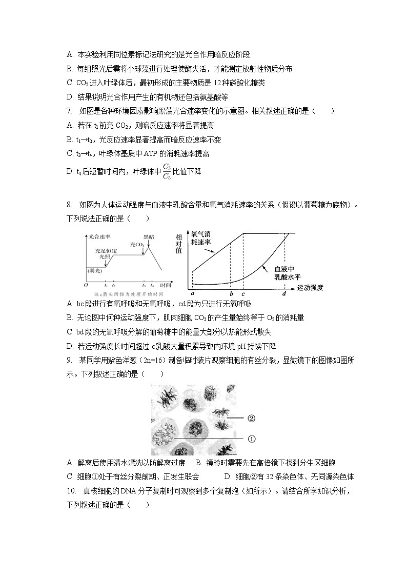 2022-2023学年北京市清华附中高二（上）期末生物试卷(含答案解析)第2页