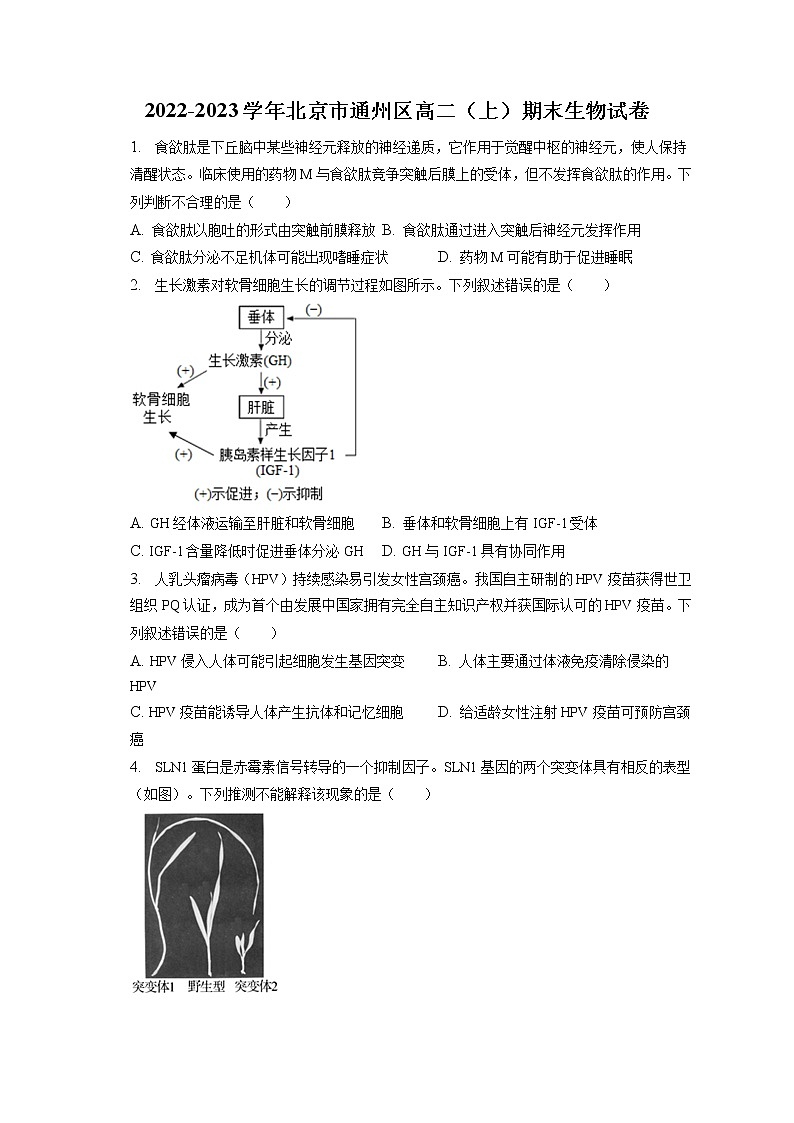 2022-2023学年北京市通州区高二（上）期末生物试卷(含答案解析)01
