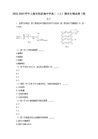 2022-2023学年上海市朱家角中学高二（上）期末生物试卷（线上）(含答案解析)