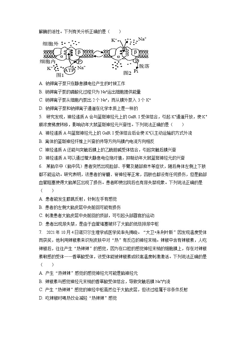 2022-2023学年湖北省武汉市新洲一中高二（上）期末生物试卷(含答案解析)02