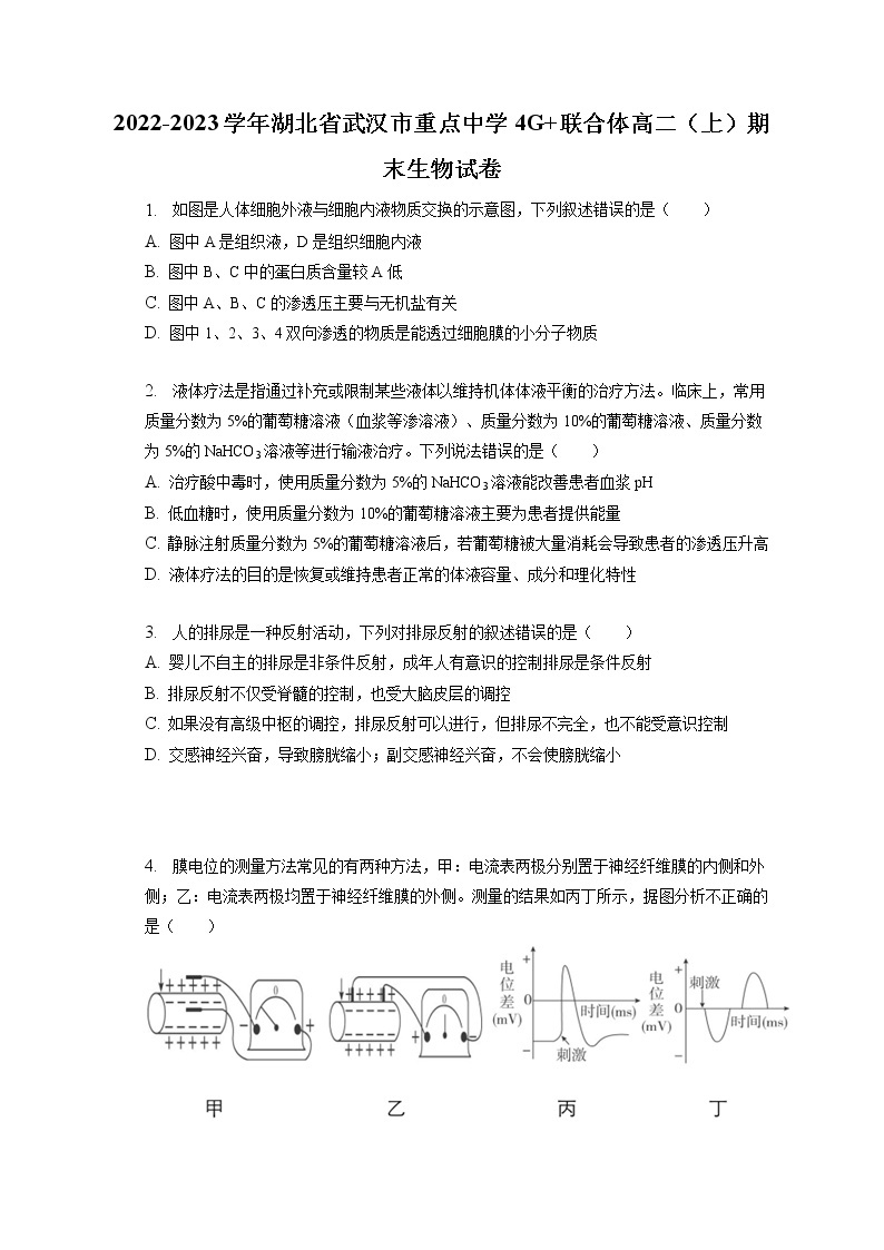 2022-2023学年湖北省武汉市重点中学4G_联合体高二（上）期末生物试卷(含答案解析)01