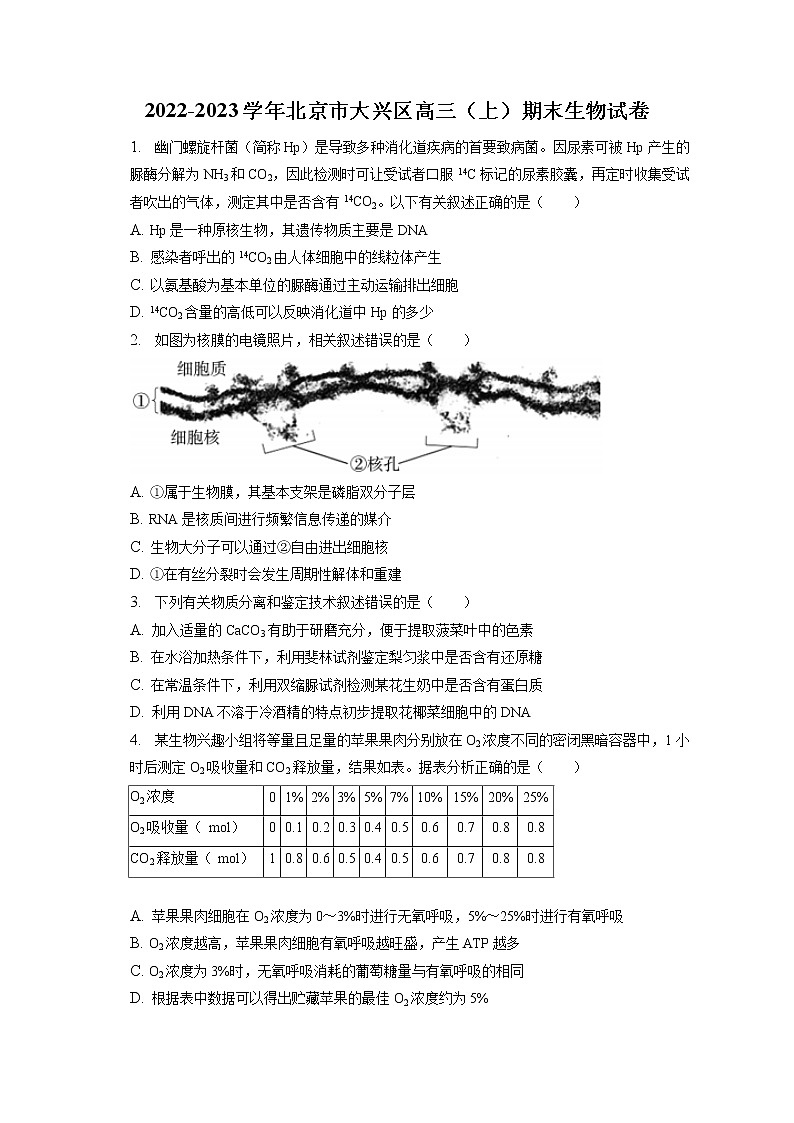 2022-2023学年北京市大兴区高三（上）期末生物试卷（含答案解析）第1页