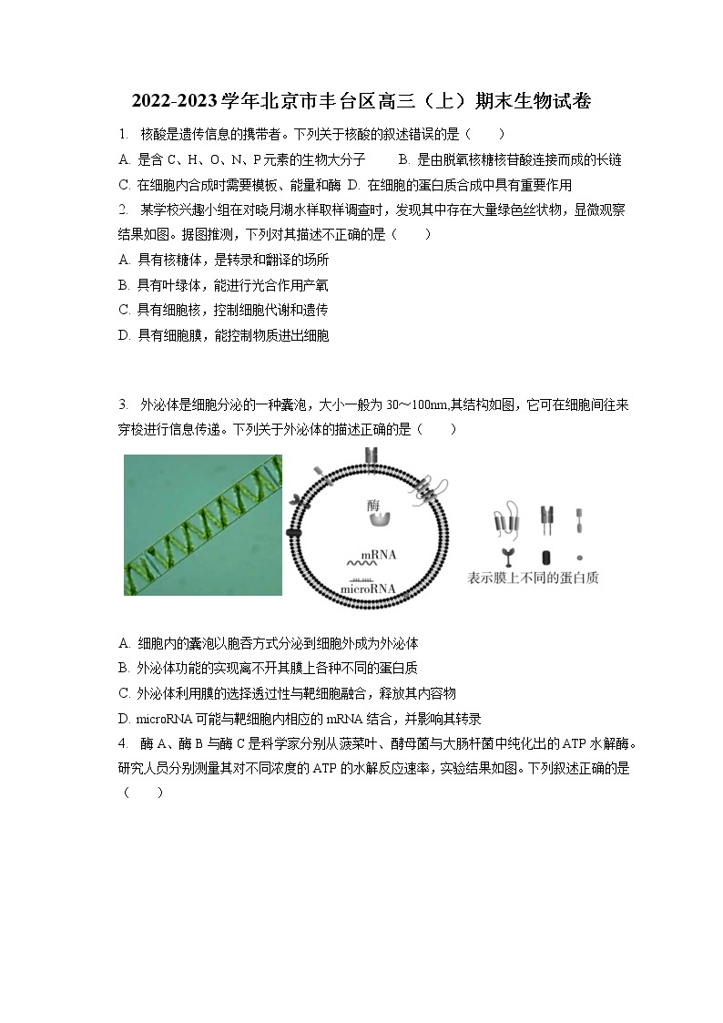 2022-2023学年北京市丰台区高三（上）期末生物试卷（含答案解析）01