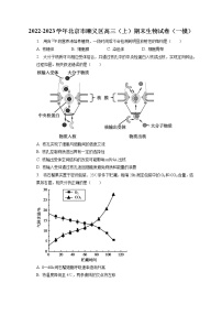 2022-2023学年北京市顺义区高三（上）期末生物试卷（一模）（含答案解析）