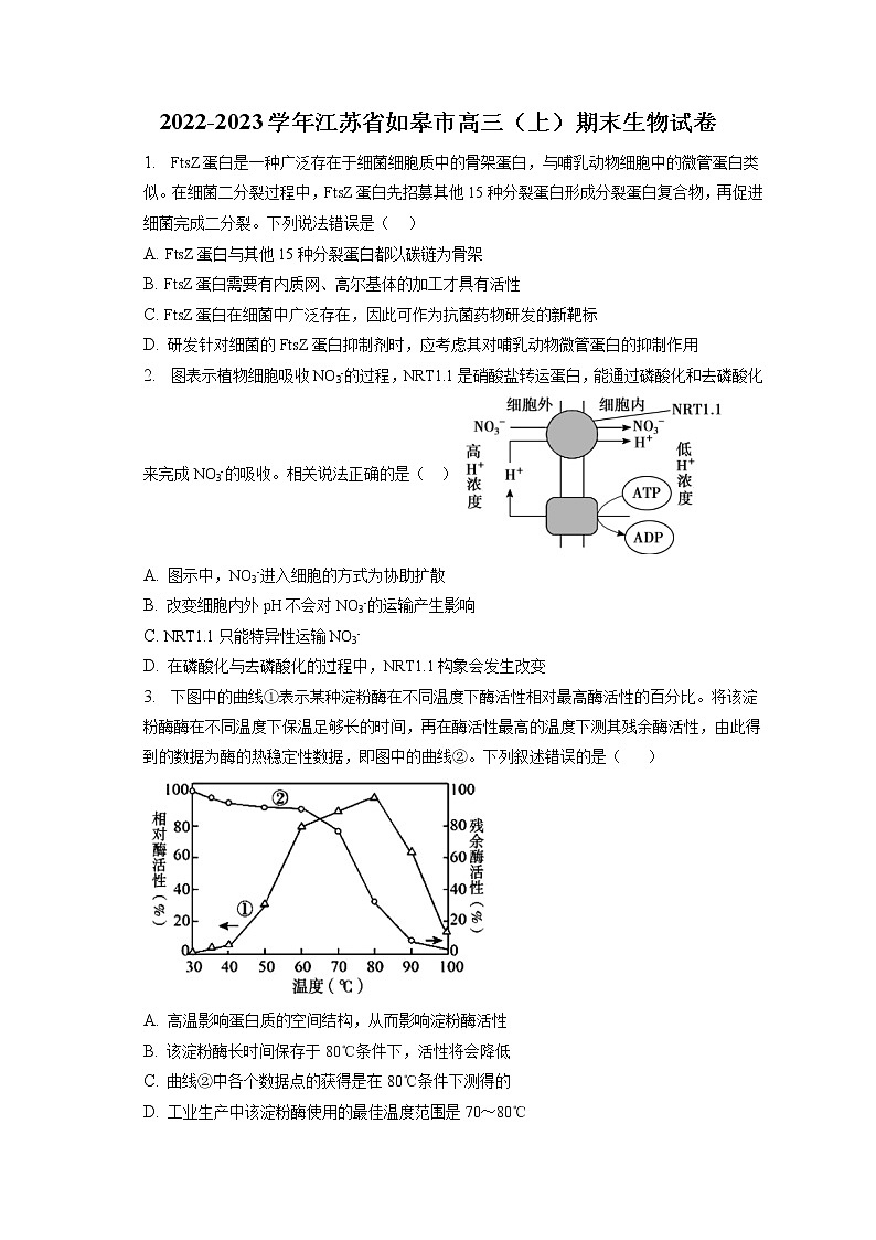 2022-2023学年江苏省如皋市高三（上）期末生物试卷（含答案解析）01