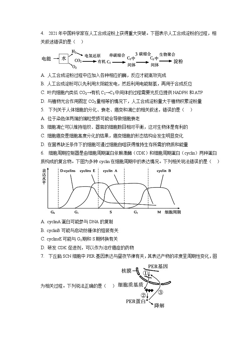 2022-2023学年江苏省如皋市高三（上）期末生物试卷（含答案解析）02
