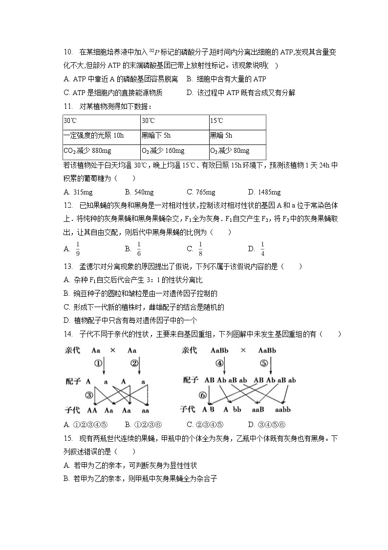 2022-2023学年吉林省通化市梅河口五中高三（上）期末生物试卷（含答案解析）03