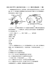 2022-2023学年上海市闵行区高三（上）期末生物试卷（一模）（含答案解析）