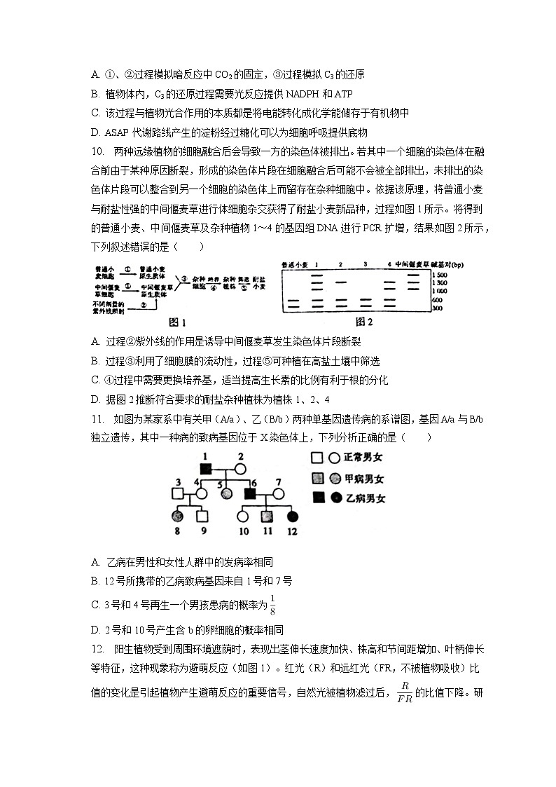2022-2023学年山东省青岛市莱西市高三（上）期末生物试卷（含答案解析）第3页