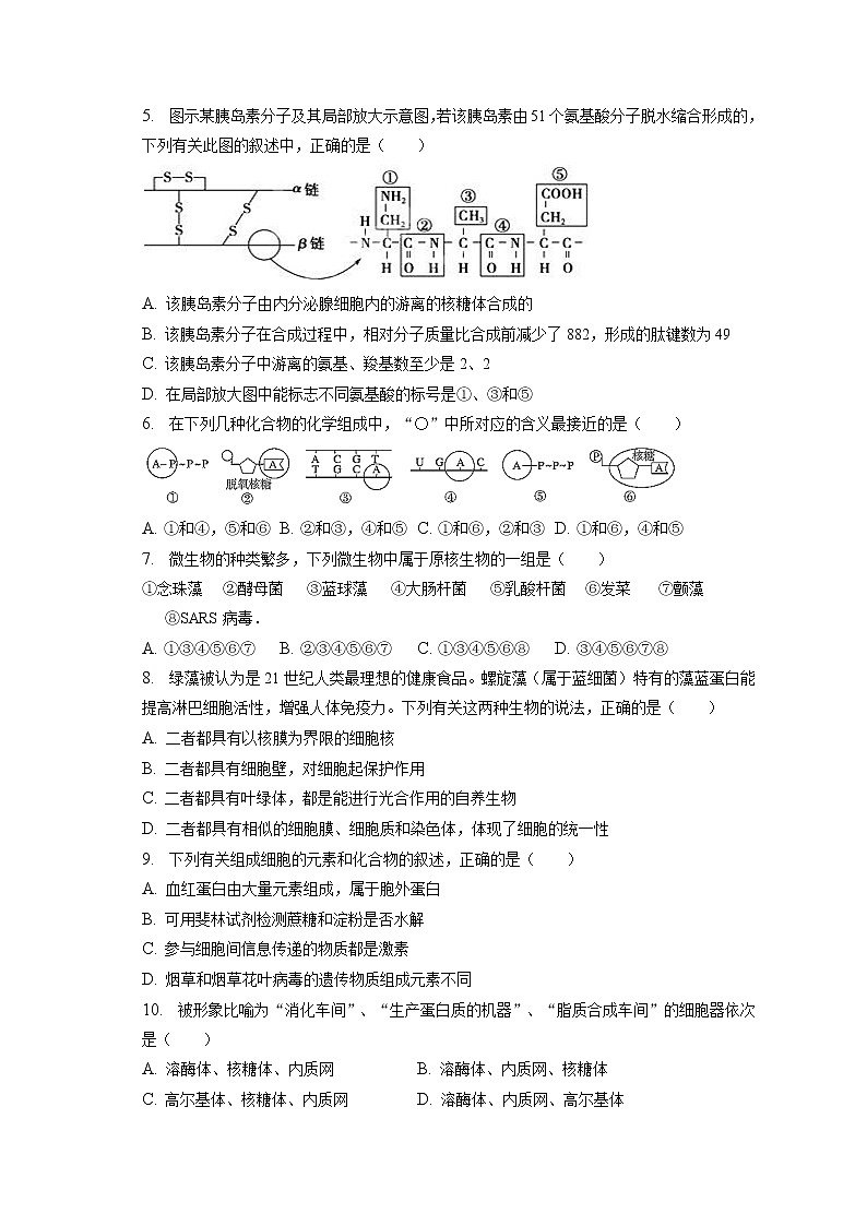 2022-2023学年陕西省西安市西工大附中高三（上）期末生物试卷（含答案解析）02