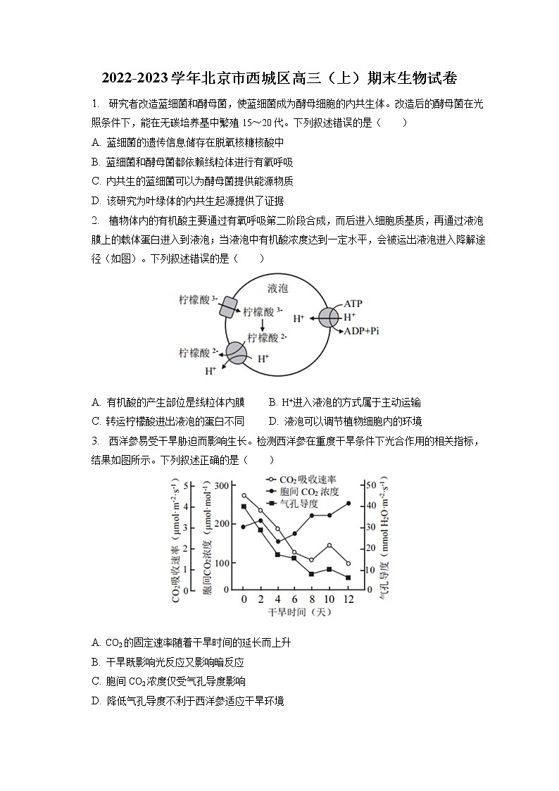 2022-2023学年北京市西城区高三（上）期末生物试卷（含答案解析）01