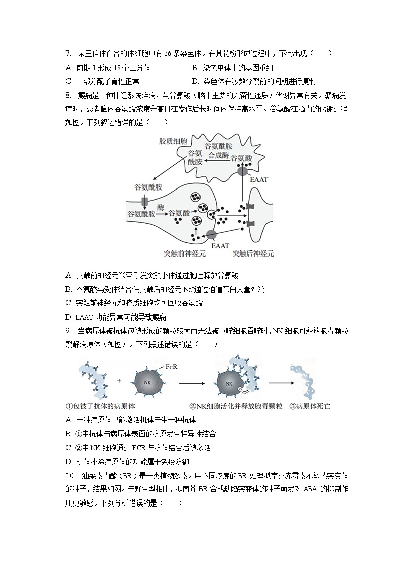 2022-2023学年北京市西城区高三（上）期末生物试卷（含答案解析）03