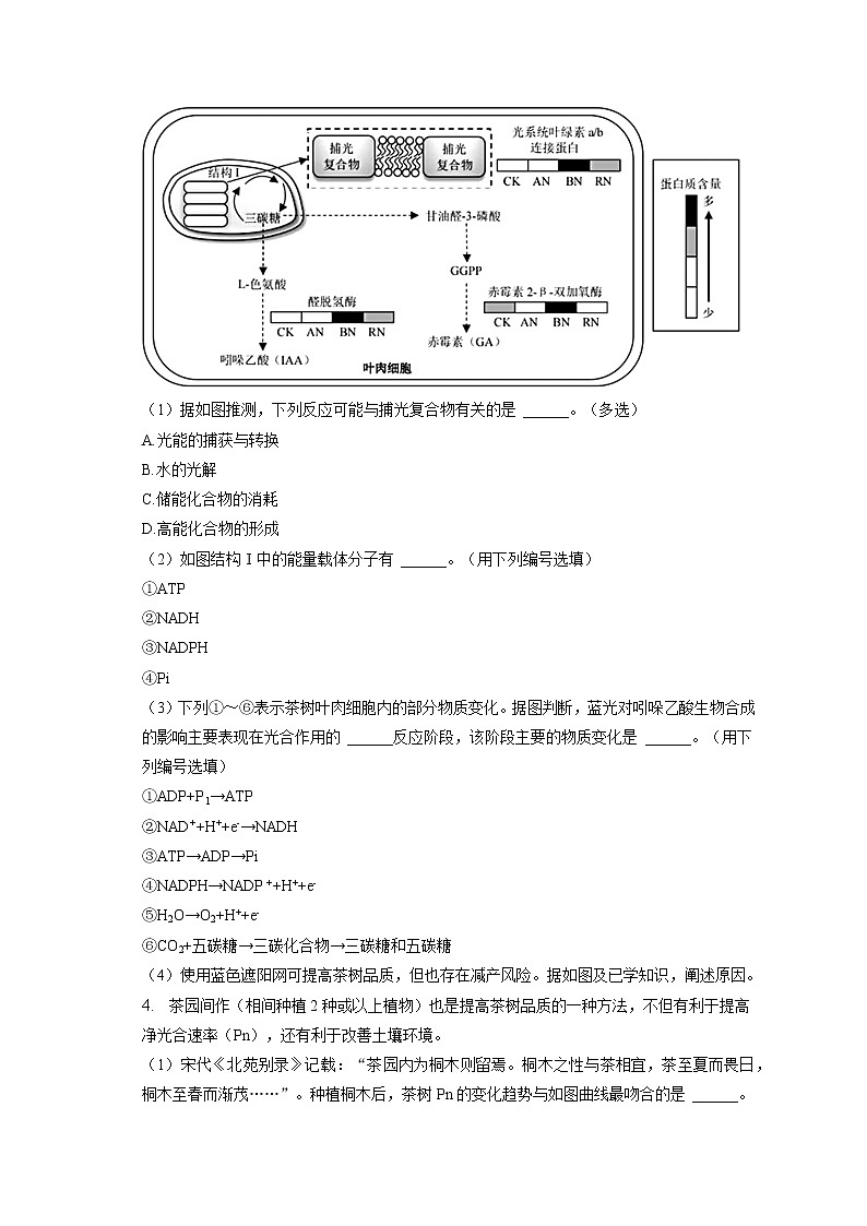 2022-2023学年上海市虹口区高三（上）期末生物试卷（一模）（含答案解析）第3页