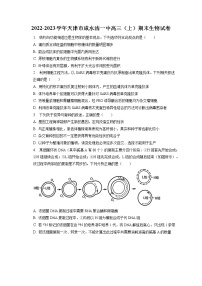 2022-2023学年天津市咸水沽一中高三（上）期末生物试卷（含答案解析）