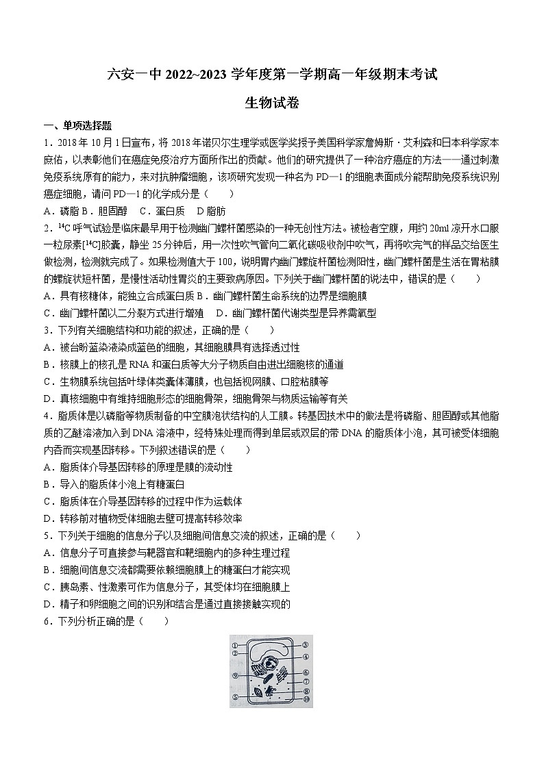 安徽省六安市一中2022-2023学年高一上学期期末生物试题(含答案)01
