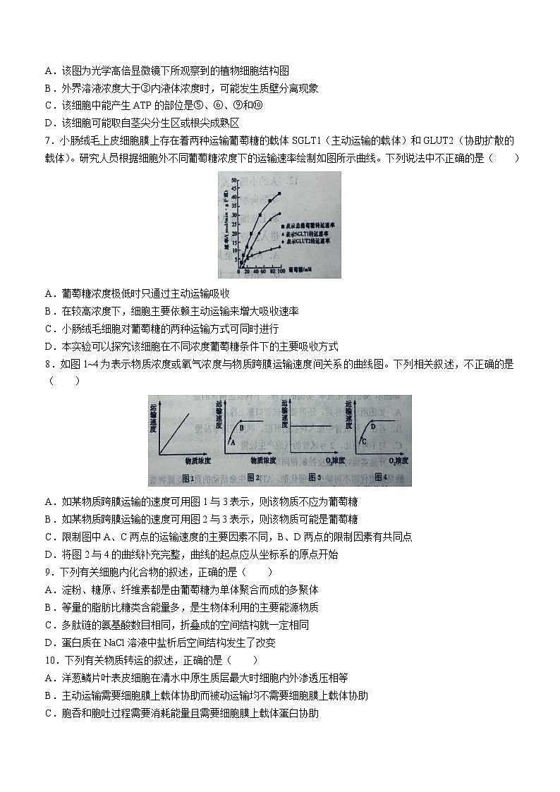 安徽省六安市一中2022-2023学年高一上学期期末生物试题(含答案)02