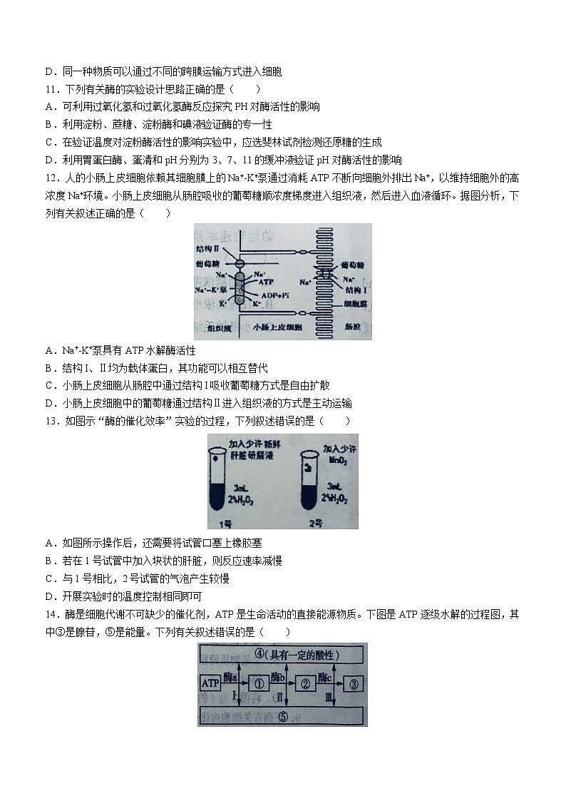 安徽省六安市一中2022-2023学年高一上学期期末生物试题(含答案)03
