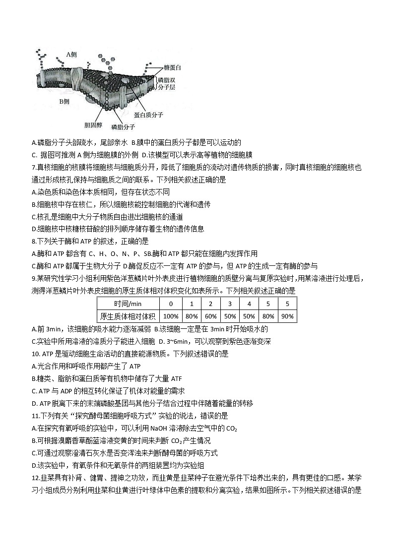 贵州省遵义市2022-2023学年高一上学期期末生物试题(含答案)第2页