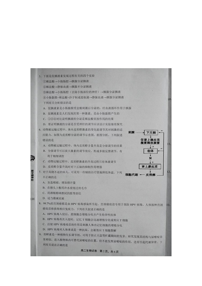 2023上饶上学期期末教学质量测试高二生物试卷含答案02